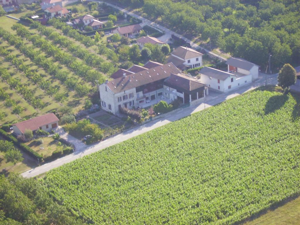 Izeron Chambres D'Hotes La Noyeraie מראה חיצוני תמונה